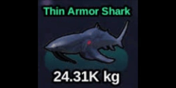 Thin Armor Shark