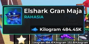 Elshark Gran Maja