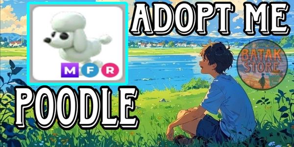 Poodle MFR Adopt Me