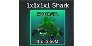 1x1x1x1 Shark