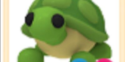 FR Turtle