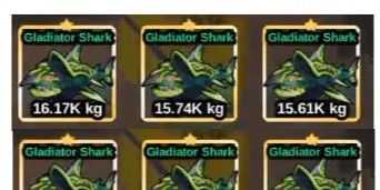 Gladiator Shark