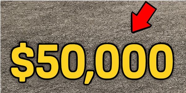 Joki $50,000 Money - The Forge