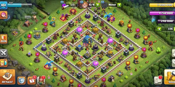 TH 12 Premature Cheapest Price