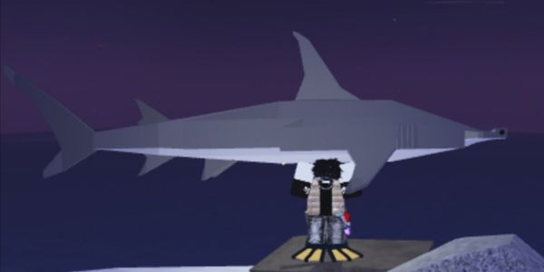 Great Hammerhead Shark