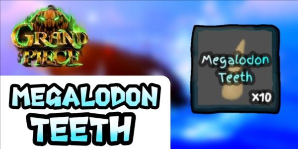 Megalodon Teeth