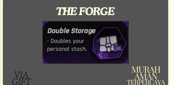 Double Storage