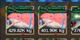 Strawberry Choc Megalodon