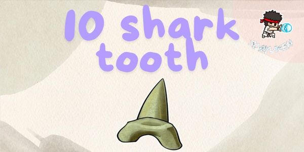 10 Shark Tooth