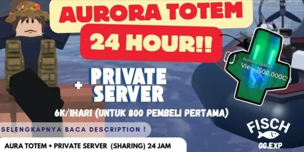PRIVATE SERVER AURORA FISCH
