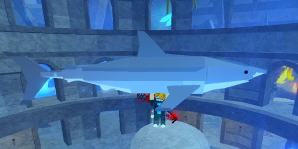 GREAT WHITE SHARK !!!! - FISCH RBL