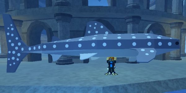 WHALE SHARK!!!!! - FISCH RBL