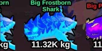 Frostborn Shark