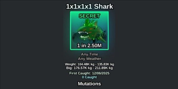 1x1x1x1 Shark