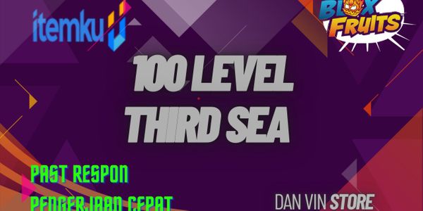 Leveling 3rd Sea