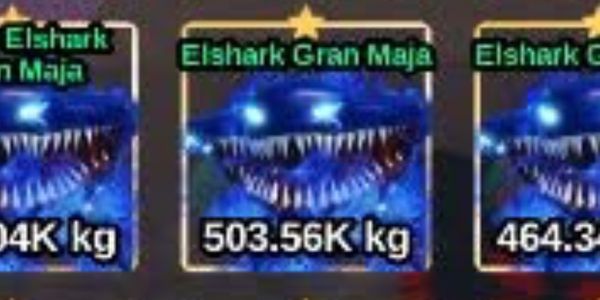 Elshark Gran Maja