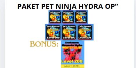 PET PACK OPENING IN NINJA LEGENDS!! SINCE 2021