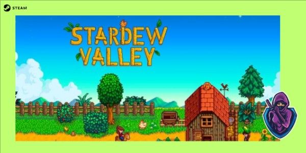 Stardew Valley • Steam Private Account