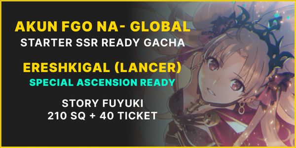 FGO NA Starter SSR Ready Gacha B