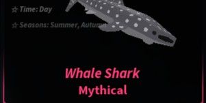 Whale Shark | Fisch
