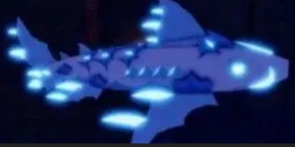 icebeard Shark (random kg)