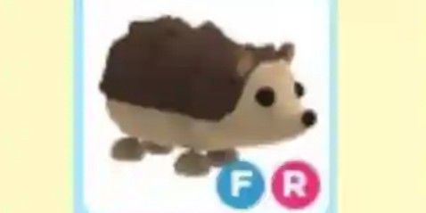 Hedgehog fr