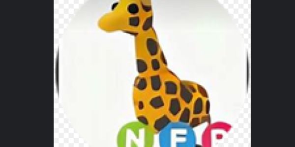 NFR Giraffe in  remains "NFR Giraffe," as it is likely a specific term or title.