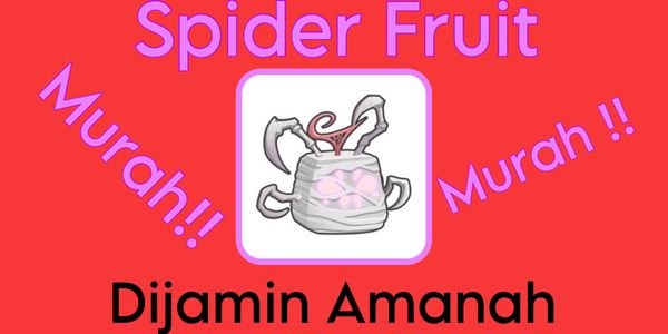 Spider