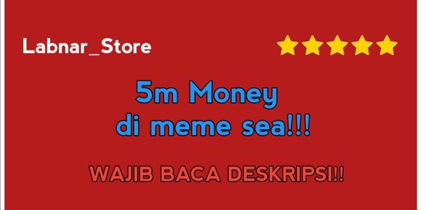5M Money