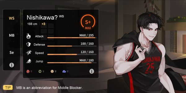 The Spike-Nishikawa Black, S lots