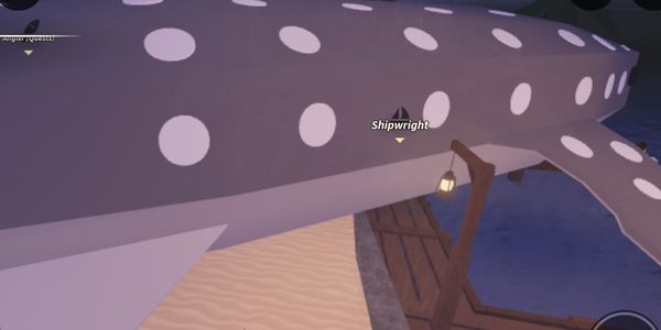 Big Whale Shark
