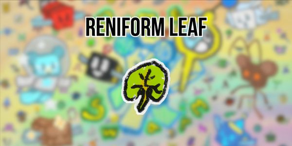 Reniform Leaf