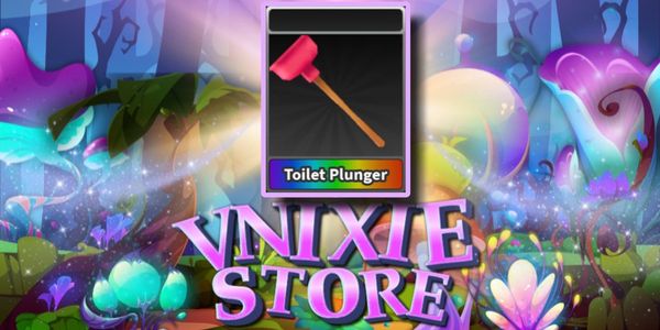 Plunger Toilet