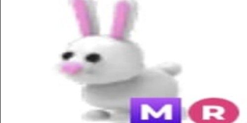 Beli Pet BUNNY MR - ADOPT ME Adopt Me Trading Hub Terlengkap dan ...