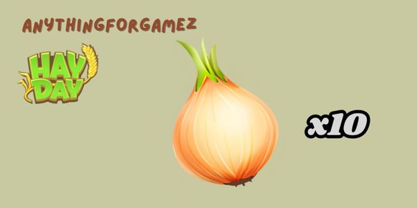 หัวหอม / Bawang