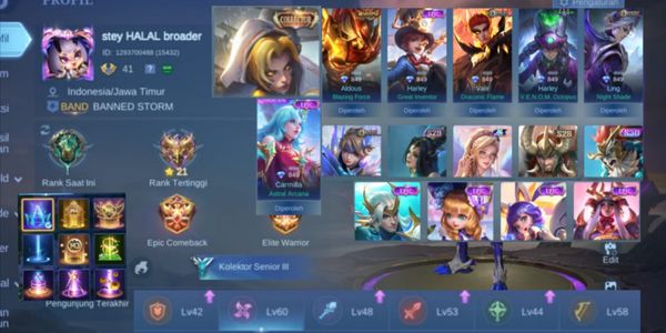 Mobile Legends Account MLBB Account #121