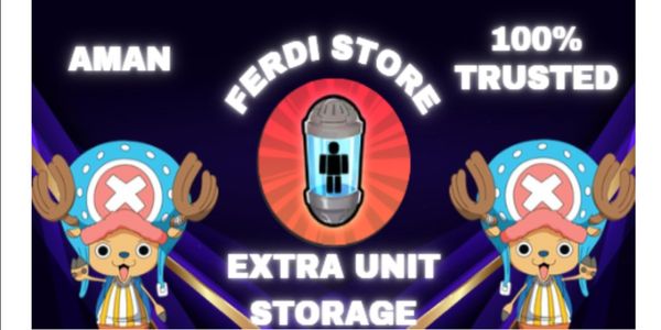 Extra Unit Storage