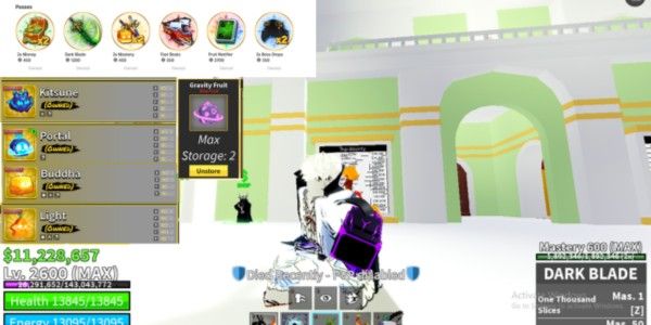 Blox Fruit Account