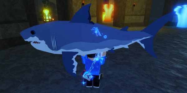 Ginsu Shark (100% Guaranteed)