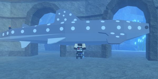 Whale Shark