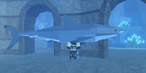 Great White Shark