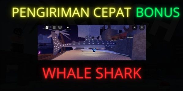 Whale Shark | Fish