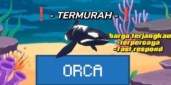 ORCA (EXOTIC & UNAPP)
