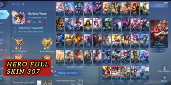 COLLECTOR ACCOUNT YZ SKIN 307 CHEAP SULTAN GG