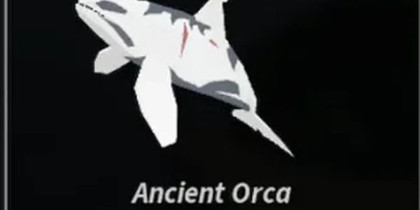ANCIENT ORCA