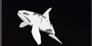 Ancient Orca (Secret Fish)