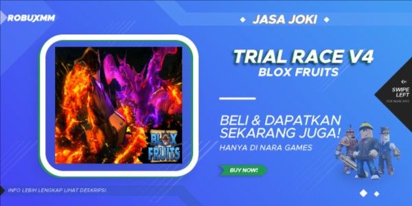 Jasa Race V4