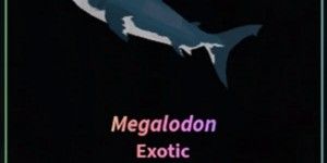 MEGALODON EXOTIC