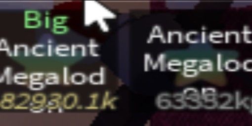 ANCIENT MEGALODON EXOTIC
