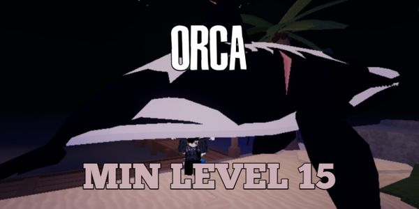 Orca | Fisch